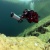 Подводный буксировщик BONEX AquaProp фото в интернет-магазине DiveStyle
